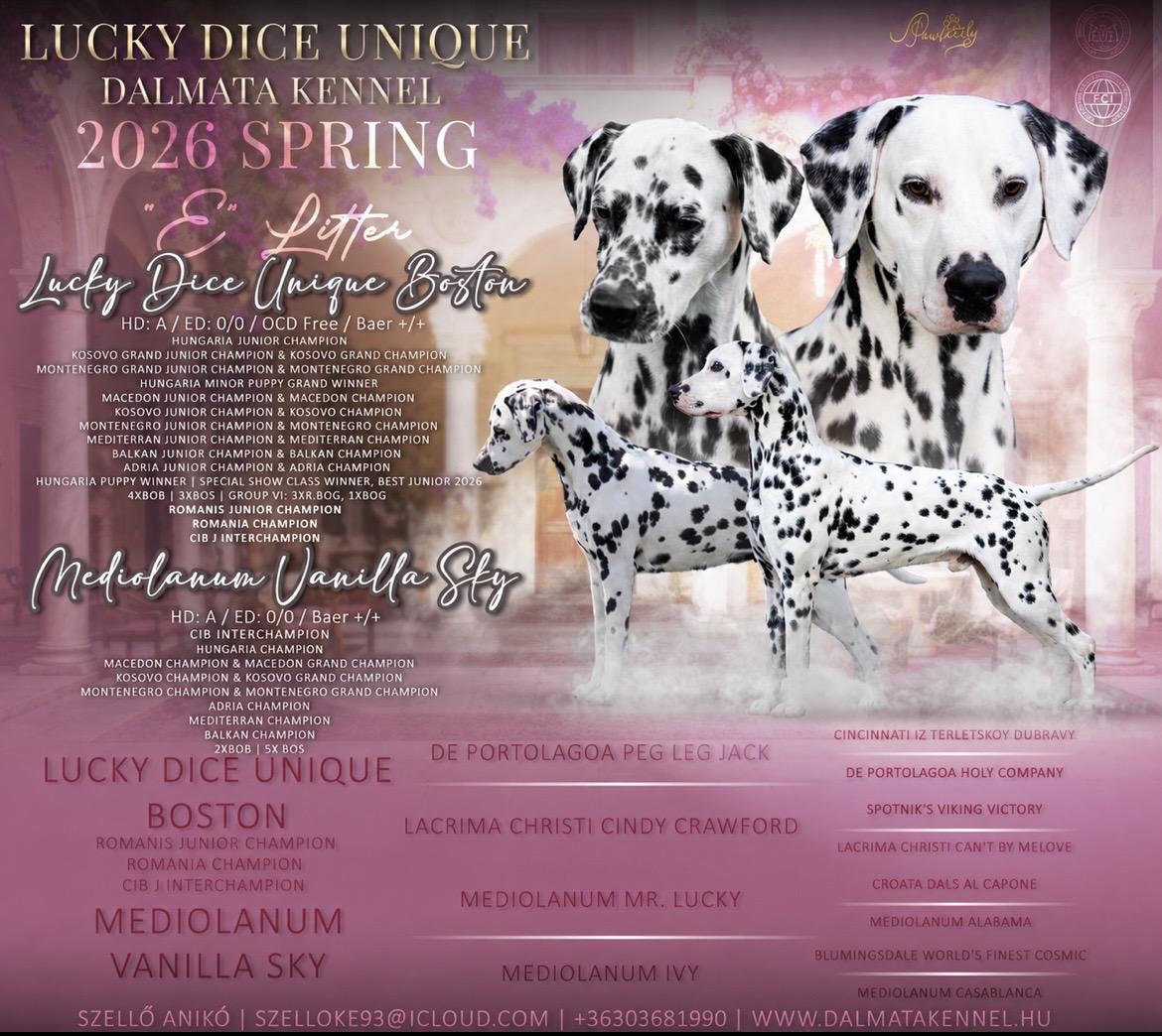 Lucky Dice Unique Dalmata Kennel